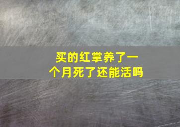 买的红掌养了一个月死了还能活吗