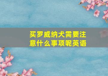 买罗威纳犬需要注意什么事项呢英语