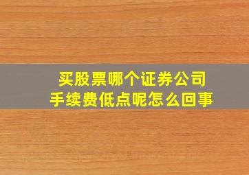 买股票哪个证券公司手续费低点呢怎么回事