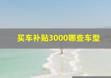 买车补贴3000哪些车型