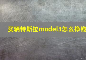 买辆特斯拉model3怎么挣钱