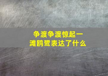 争渡争渡惊起一滩鸥鹭表达了什么