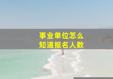 事业单位怎么知道报名人数