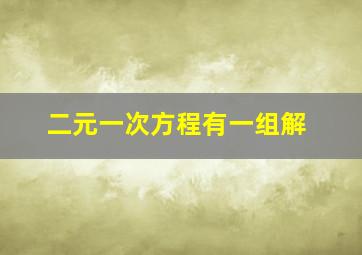 二元一次方程有一组解