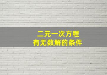 二元一次方程有无数解的条件