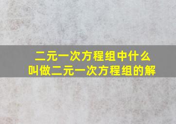 二元一次方程组中什么叫做二元一次方程组的解