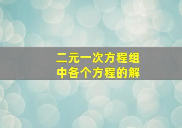 二元一次方程组中各个方程的解