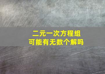 二元一次方程组可能有无数个解吗