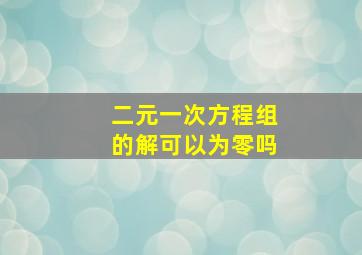 二元一次方程组的解可以为零吗