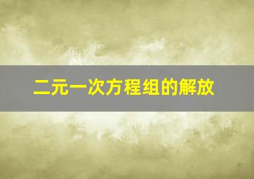 二元一次方程组的解放