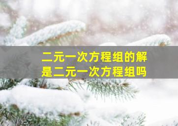 二元一次方程组的解是二元一次方程组吗