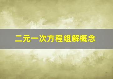 二元一次方程组解概念