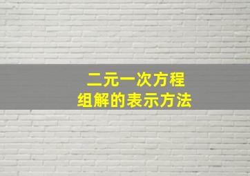 二元一次方程组解的表示方法