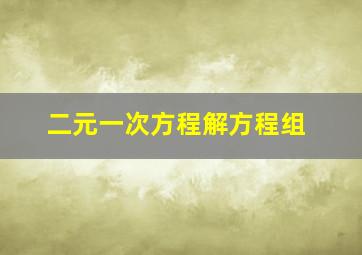 二元一次方程解方程组