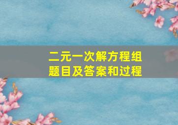 二元一次解方程组题目及答案和过程