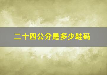 二十四公分是多少鞋码