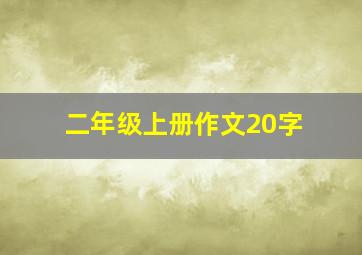 二年级上册作文20字