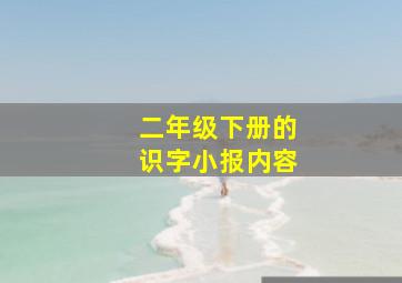 二年级下册的识字小报内容