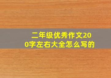 二年级优秀作文200字左右大全怎么写的