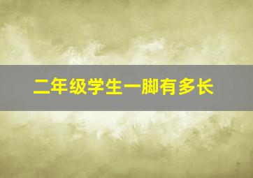 二年级学生一脚有多长