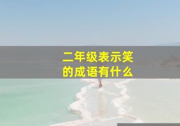 二年级表示笑的成语有什么