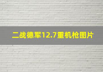 二战德军12.7重机枪图片