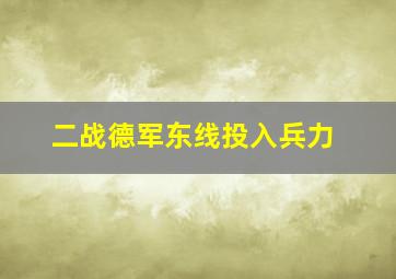 二战德军东线投入兵力