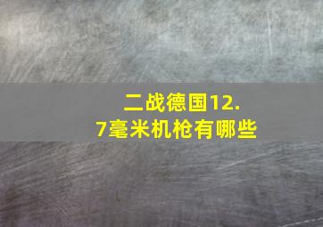 二战德国12.7毫米机枪有哪些