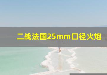 二战法国25mm口径火炮