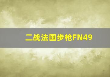 二战法国步枪FN49