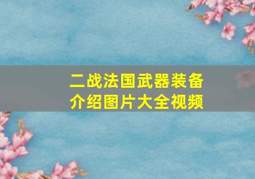 二战法国武器装备介绍图片大全视频