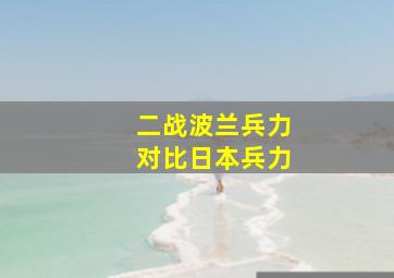 二战波兰兵力对比日本兵力