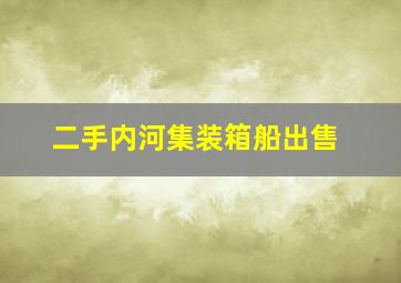 二手内河集装箱船出售