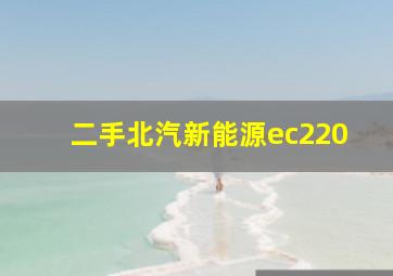 二手北汽新能源ec220