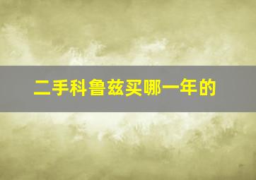 二手科鲁兹买哪一年的