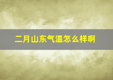 二月山东气温怎么样啊