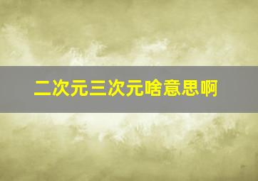 二次元三次元啥意思啊