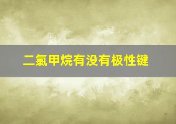 二氯甲烷有没有极性键