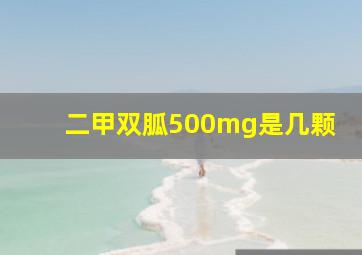 二甲双胍500mg是几颗