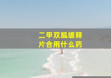 二甲双胍缓释片合用什么药