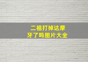 二祖打掉达摩牙了吗图片大全