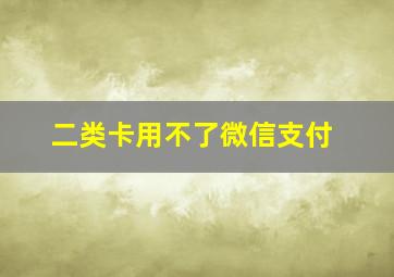 二类卡用不了微信支付