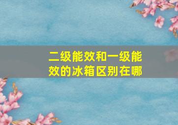 二级能效和一级能效的冰箱区别在哪