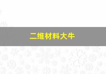 二维材料大牛