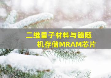 二维量子材料与磁随机存储MRAM芯片