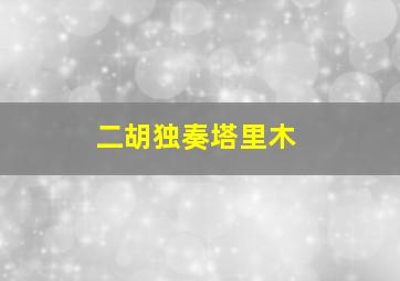 二胡独奏塔里木