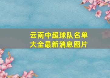 云南中超球队名单大全最新消息图片