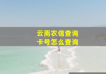 云南农信查询卡号怎么查询