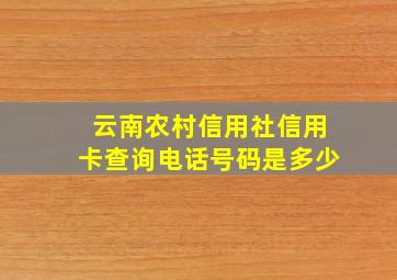 云南农村信用社信用卡查询电话号码是多少