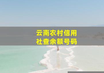 云南农村信用社查余额号码